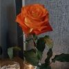 thurka_t